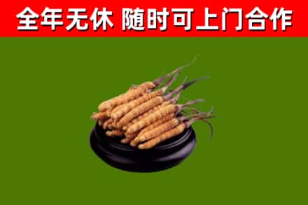 嘉荫县烟酒回收冬虫夏草.jpg
